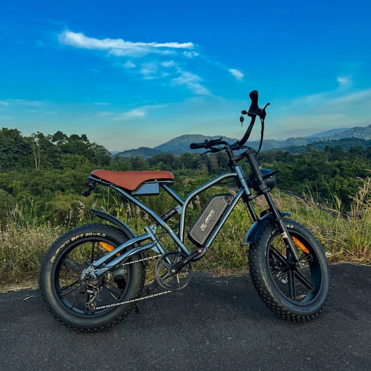 Jansno X50  Electric bicycle 750W Powerful Motor 48v14Ah 20inch Fat Tires MTB Hybrid Adult Off-Road turn signal Electric Bike