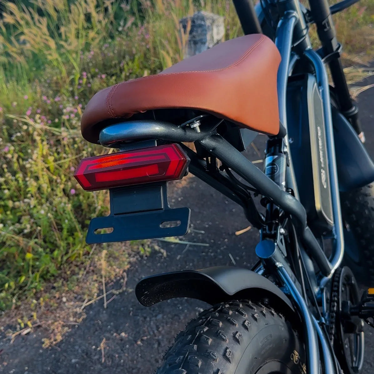 Jansno X50  Electric bicycle 750W Powerful Motor 48v14Ah 20inch Fat Tires MTB Hybrid Adult Off-Road turn signal Electric Bike