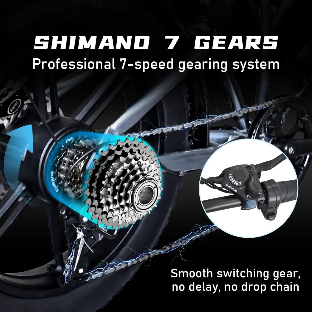 Deepower Electric Bike QS7 1000W 48V 60AH 20 Inch Fat Tire Ebike for Adults Mountain Off-Road Dual Batteries Electric Bicycle